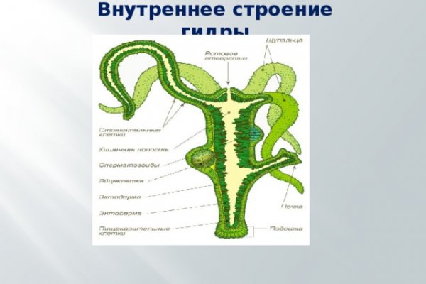 Кракен купить порошок маркетплейс