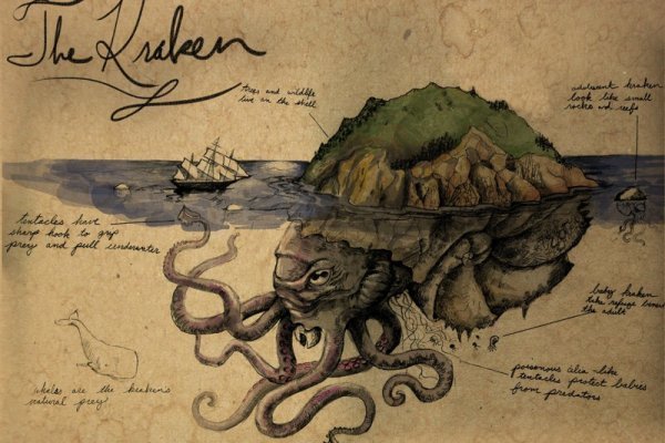 Kraken 6 at
